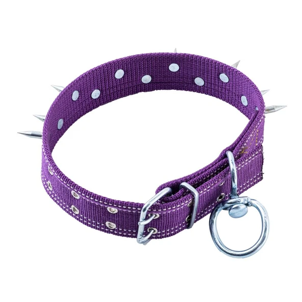 Dokuma Çivili Köpek Boyun Tasması - 5*80 cm - Mor - 5