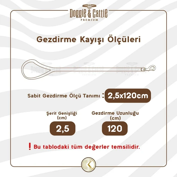 Doggie Konfor Dokuma Gezdirme Kayışı Turuncu 2.5*120 Cm (DGZT-25) - 4