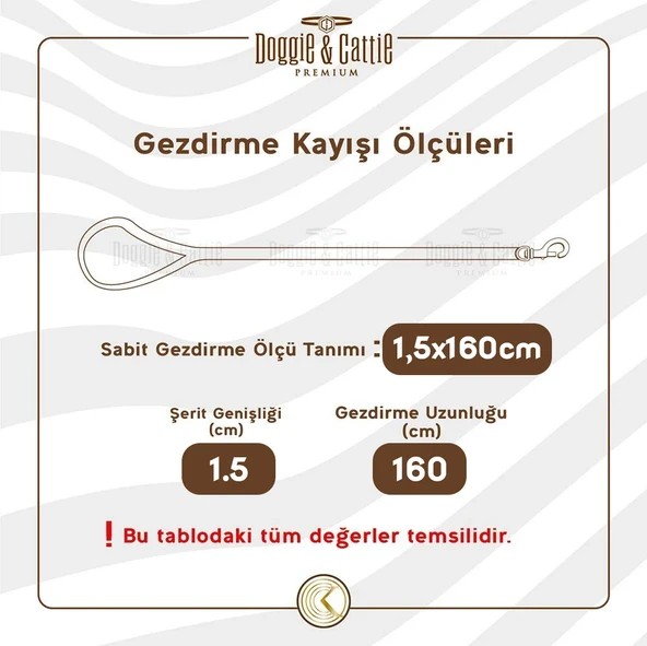 Doggie Konfor Dokuma Gezdirme Kayışı Siyah 1.5*160 Cm (DGZT-15) - 4