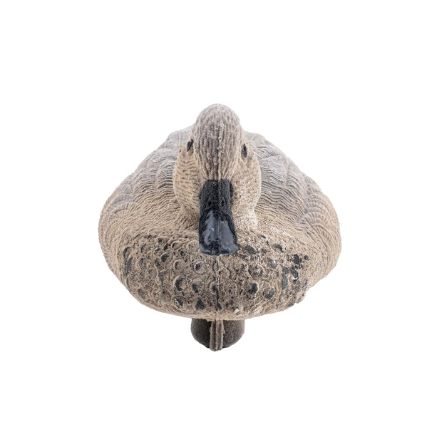 Bahri Ördek Mühresi - Tüylü - Dişi - Yüzen Mühre - Savage - HD 026R - 5