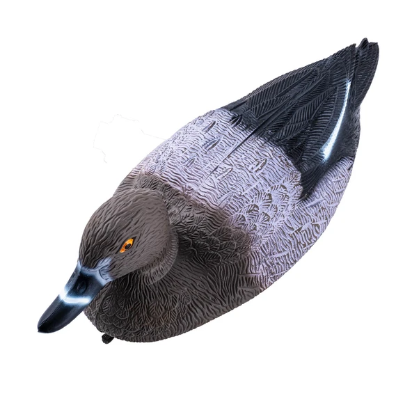 Elmabaş Ördek Mühresi - Dişi - Yüzen Mühre - Savage - HD 002 EF - 4