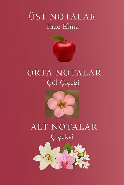 Frapan Vücut Spreyi 250 ml Temptation - 2