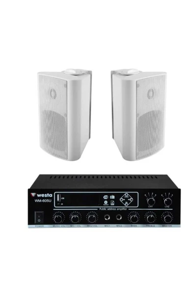 2 Adet 6,5'' Profesyonel Cafe, Okul , Mağaza Ses Sistemi, Amfi ve Hoparlör Hazır Set