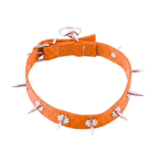 Dokuma Çivili Köpek Boyun Tasması - 4*70 cm - Turuncu - Resim 2