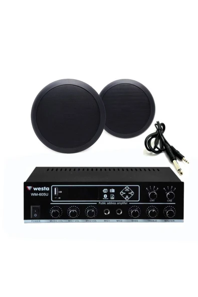 2’li Siyah Tavan Hoparlör Ses Sistemi Paketi – Mağaza & Ofis Müzik Çözümü ürün görseli