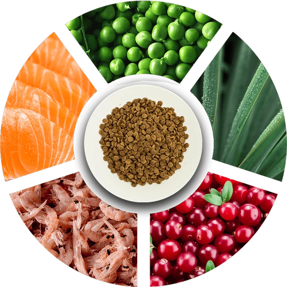 Prochoice Kısırlaştırılmış Kediler İçin, Hipoalerjenik, Somon Balıklı Ve Karidesli Kuru Mama 2 kg - 4