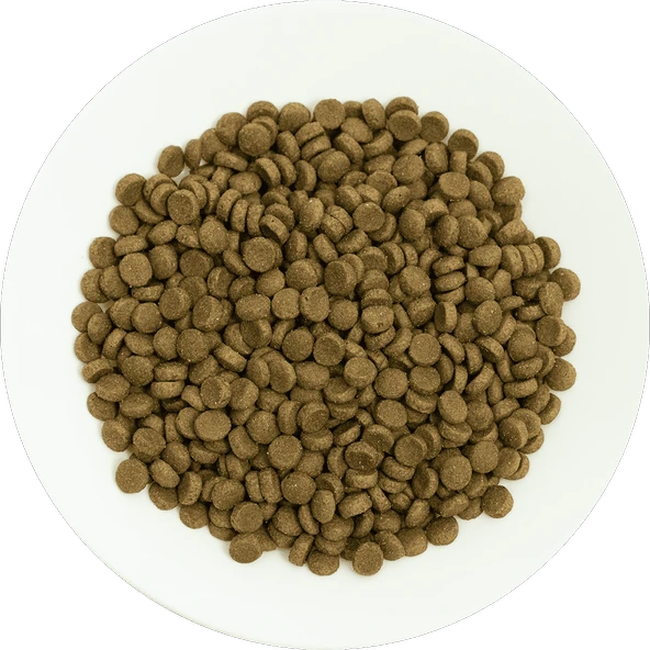 Prochoice Yetişkin Kediler İçin, Hipoalerjenik, Kuzu Etli Ve Pirinçli Kuru Mama 2 kg - 3