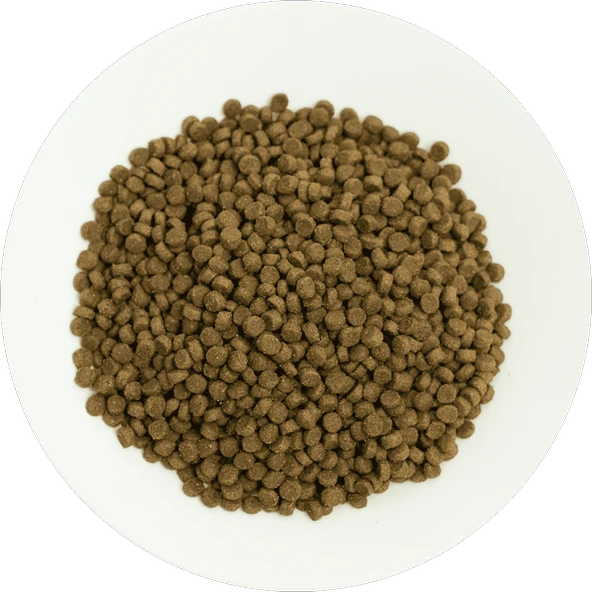 Prochoice Yavru Kediler İçin, Hipoalerjenik, Kuzu Etli Ve Pirinçli Kuru Mama 2 kg - 3