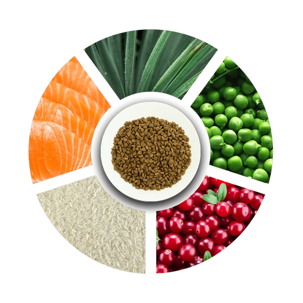 Prochoice Yetişkin Kediler İçin, Hipoalerjenik, Somon Balıklı Ve Pirinçli Kuru Mama 2 kg - 4