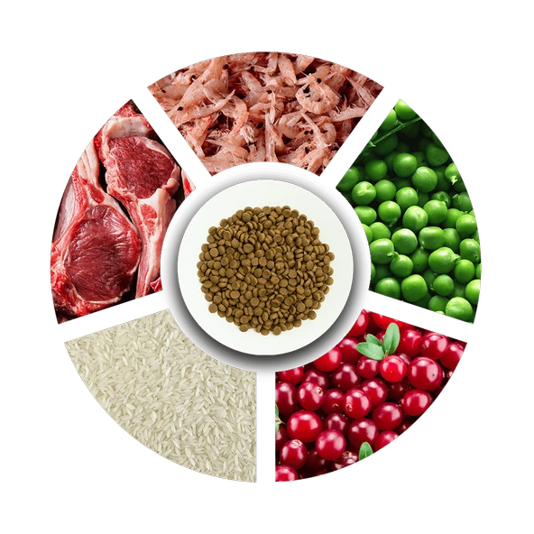 Prochoice Yetişkin Kediler İçin, Hipoalerjenik, Kuzu Etli Ve Pirinçli Kuru Mama 2 kg - 4