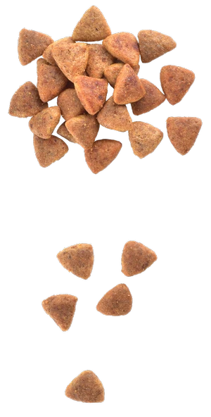 Brit Care Sağlıklı Cilt ve Parlak Tüy Bakımı, Yetişkin Kediler İçin Tahılsız, Hipoalerjenik, Taze Somonlu ve Tavuk Etli Kuru Mama 7 kg - 2