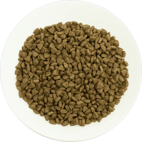 Prochoice Yetişkin Kediler İçin, Hipoalerjenik, Somon Balıklı Ve Pirinçli Kuru Mama 2 kg - 3