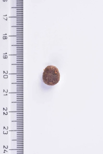 Brit Premium By Nature Kısırlaştırılmış Kediler İçin, Somon Balıklı Kuru Mama 8 kg - 2