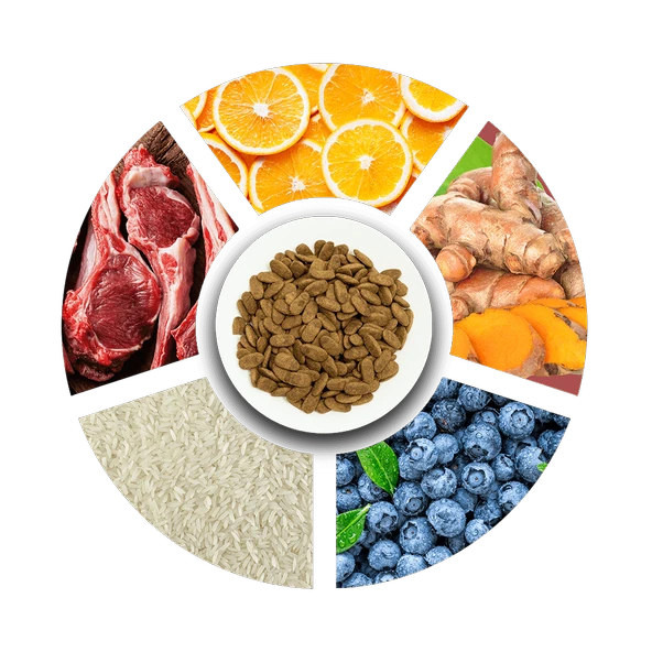 Prochoice Yetişkin Köpekler İçin, Hipoalerjenik, Kuzu Etli Ve Pirinçli Kuru Mama 18 kg - 3