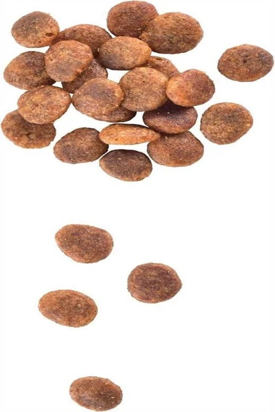 Brit Care Yetişkin Hassas Kediler İçin, Tahılsız, Hipoalerjenik, Taze Hindi Etli Ve Somonlu Kuru Mama 7 kg - 2