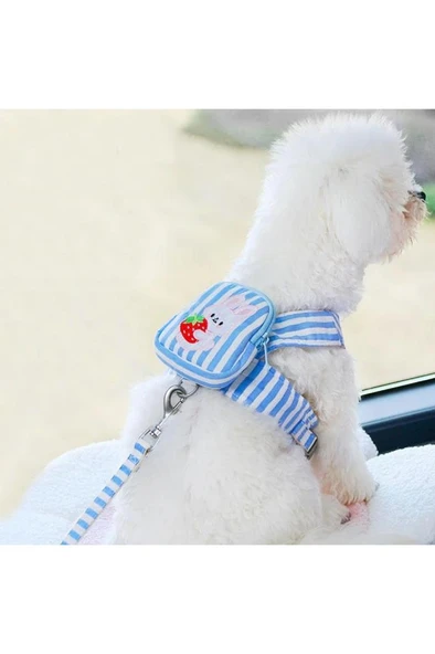 S Beden Çantalı Kedi Göğüs Tasma Seti Küçük Irk Köpek Gezdirme Kayışı Yürüyüş Tasması Kayış 120 cm ürün görseli 1