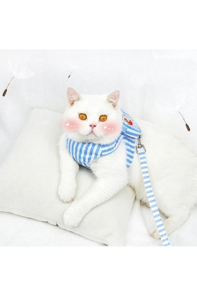 S Beden Çantalı Kedi Göğüs Tasma Seti Küçük Irk Köpek Gezdirme Kayışı Yürüyüş Tasması Kayış 120 cm - 2
