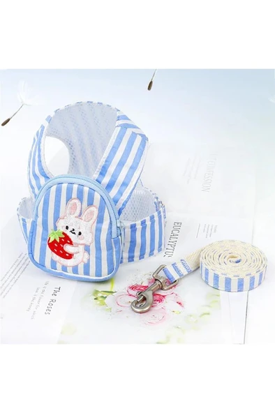 L Beden Çantalı Kedi Göğüs Tasma Seti Küçük Irk Köpek Gezdirme Kayışı Yürüyüş Tasması Kayış 120 cm ürün görseli 1