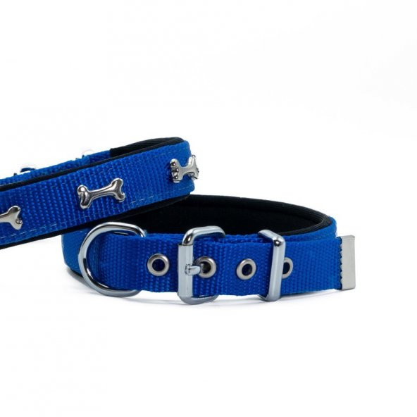 Doggie Comfort Metal Kemik İşlemeli Köpek Boyun Tasması S 2x30-35cm Royal Mavi