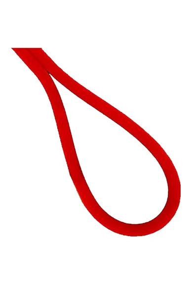 CATA KIRMIZI NEON LED KIRMIZI (12V)  (5MT PAKET) ürün görseli 1