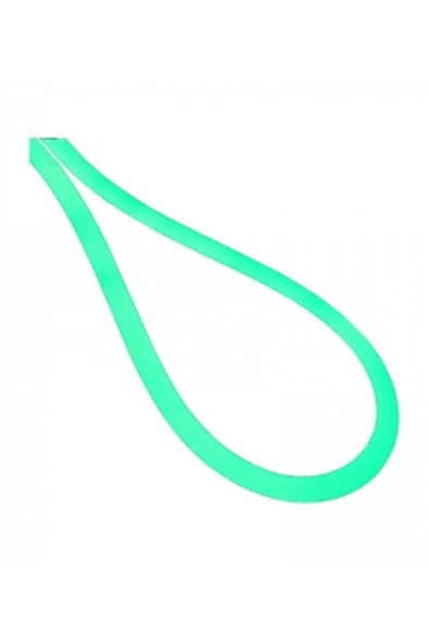 CATA YEŞİL NEON LED  (12V) (5MT PAKET) ürün görseli 1