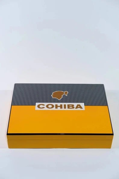 AlsepeteAvm Humidor CHUM047 - Resim 6