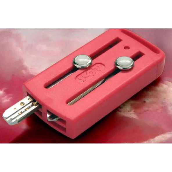 Slot Pembe Anahtarlık Anahtar Kabı 4 adet Boncuklu - 3