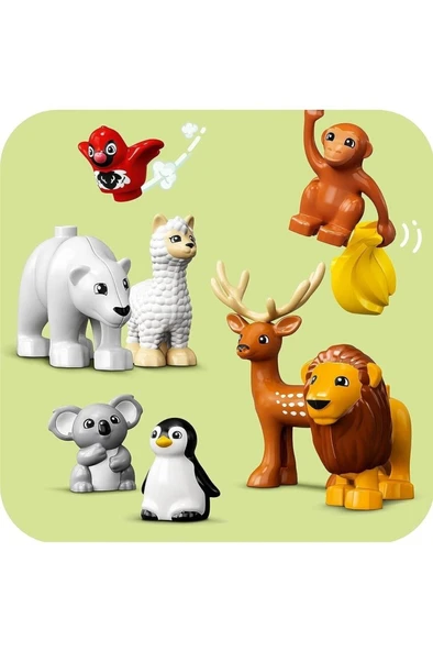 LEGO ® DUPLO® Vahşi Dünya Hayvanları 10975 - 2 Yaş ve Üzeri Çocuklar için Yapım Seti (142 Parça) - 8