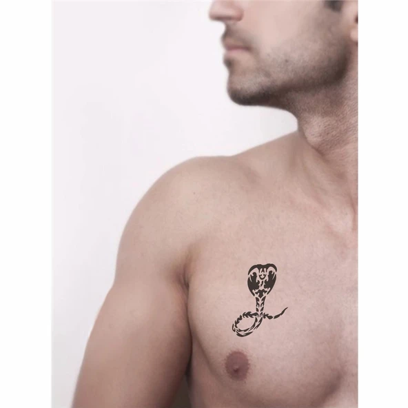 Kobra Yılan Tattoo Geçici Dövme Şablonları Kına Kalıpları - Resim 2
