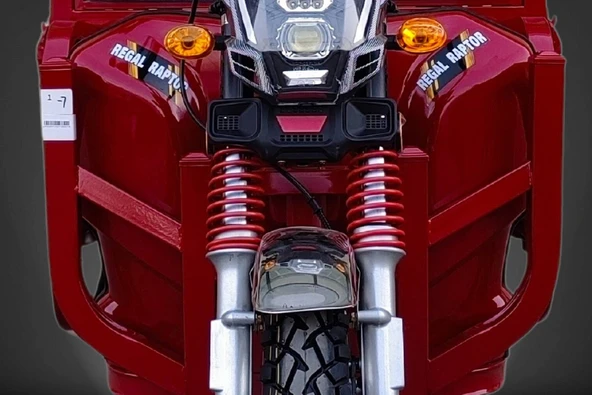 Regal Raptor RG24000 Elektrikli Trıcyle 3 Teker Moped - 4