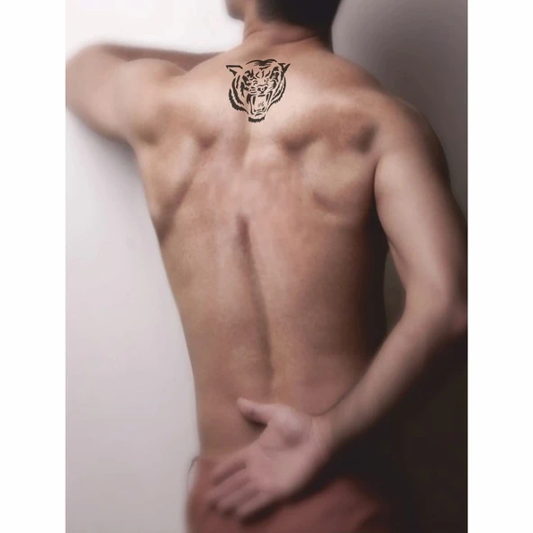 Kükreyen Kaplan Tattoo Geçici Dövme Şablonları Kına Kalıpları - Resim 2