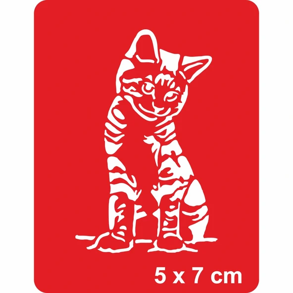 Güzel Kedi Tekir Tattoo Geçici Dövme Şablonları Kına Kalıpları ürün görseli 1