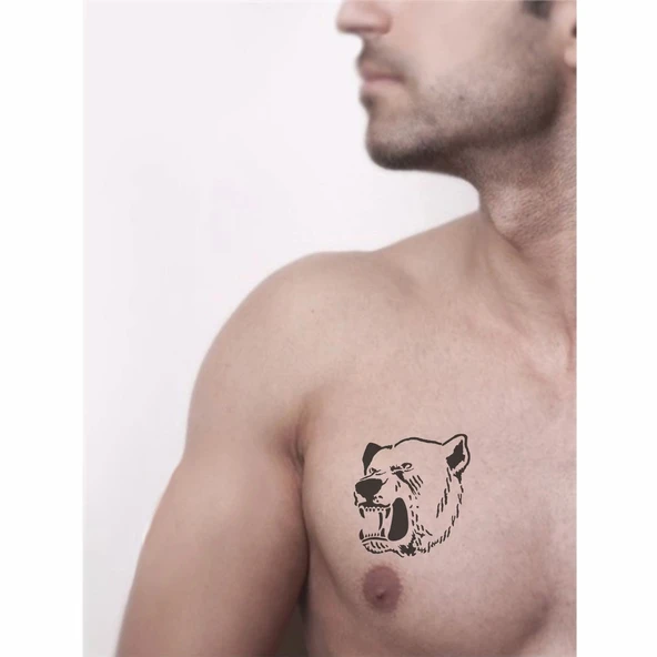 Büyük Ayı Tattoo Geçici Dövme Şablonları Kına Kalıpları - 2