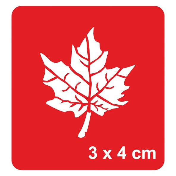 Çınar Yaprağı Tattoo Geçici Dövme Şablonları Kına Kalıpları ürün görseli 1