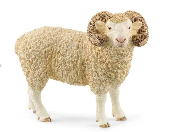 Schleich Koç Hayvan Fİgürü 5-6 CM 13937 - Resim 2