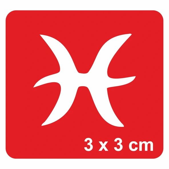 Balık Burcu Tattoo Geçici Dövme Şablonları Kına Kalıpları