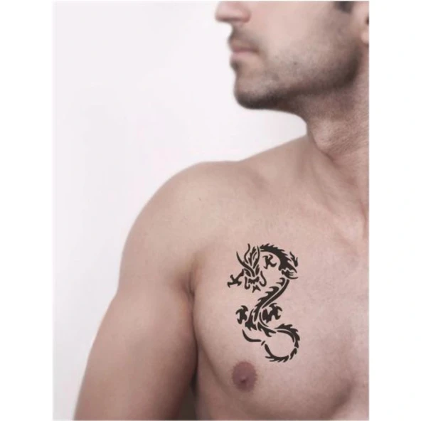 Dev Yılan Gibi Ejderha Tattoo Geçici Dövme Şablonları Kına Kalıpları - Resim 2