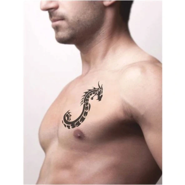 Dev Yılan Saldırısı Tattoo Geçici Dövme Şablonları Kına Kalıpları - Resim 2