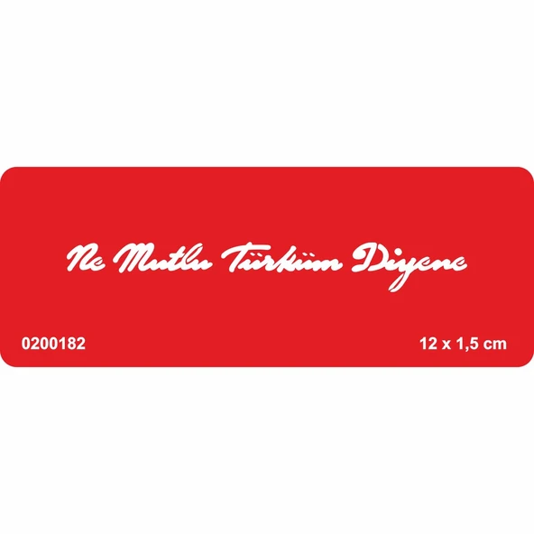 Ne Mutlu Türküm Diyene Tattoo Geçici Dövme Şablonları Kına Kalıpları ürün görseli 1