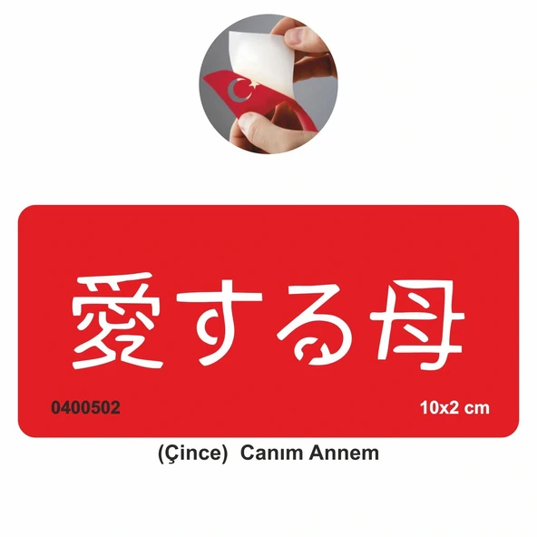 Canım Annem Çince Tattoo Geçici Dövme Şablonları Kına Kalıpları ürün görseli 1