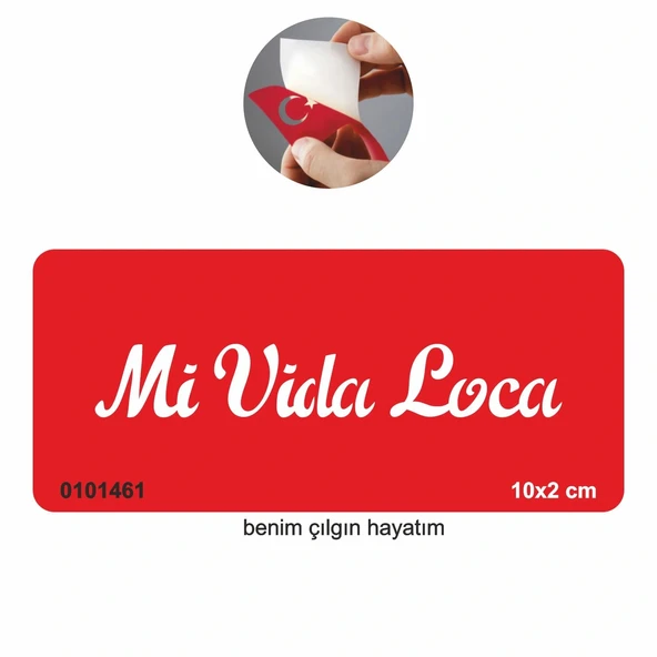 Benim Çılgın Hayatım(İspanyolca)  Tattoo Geçici Dövme Şablonları Kına Kalıpları ürün görseli 1