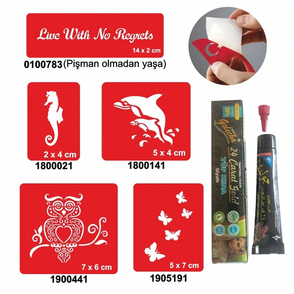 Kuş ve Balık Desenleri Hint Kınası ile Geçici Dövme Yapma Seti ürün görseli 1