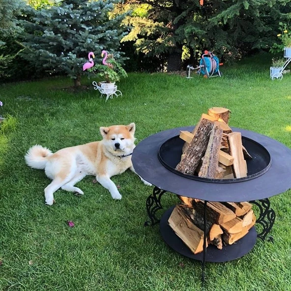 Fumolio Mayon Odunluklu Ateş Çukuru ürün görseli 1