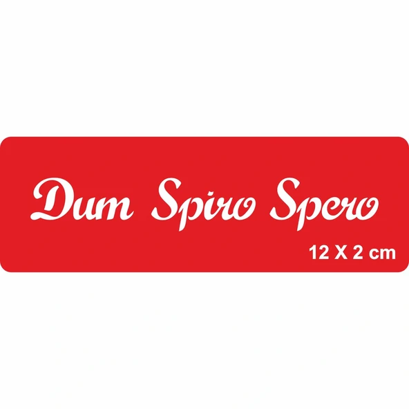 Nefes Aldığım Sürece Umut Edeceğim Tattoo Geçici Dövme Şablonları Kına Kalıpları ürün görseli 1