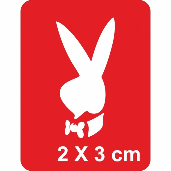 Aşk Tavşanı Playboy Tattoo Geçici Dövme Şablonları Kına Kalıpları ürün görseli 1