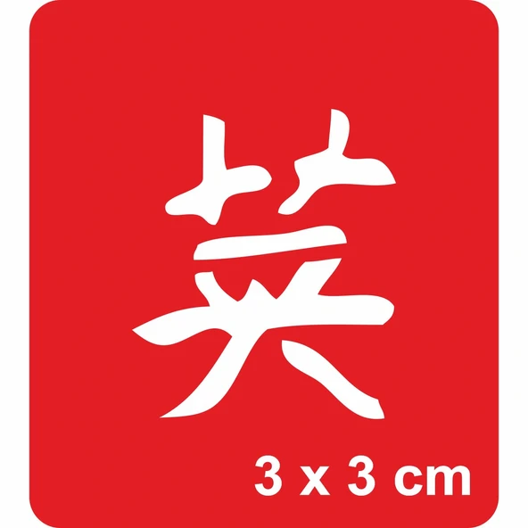 Cesaret Kanji Tattoo Geçici Dövme Şablonları Kına Kalıpları ürün görseli 1