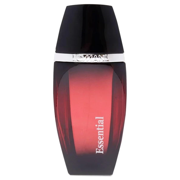 outlet - Lomani Essential EDT 100 Ml Erkek Parfüm kutusuz sıfır ürün ürün görseli 1