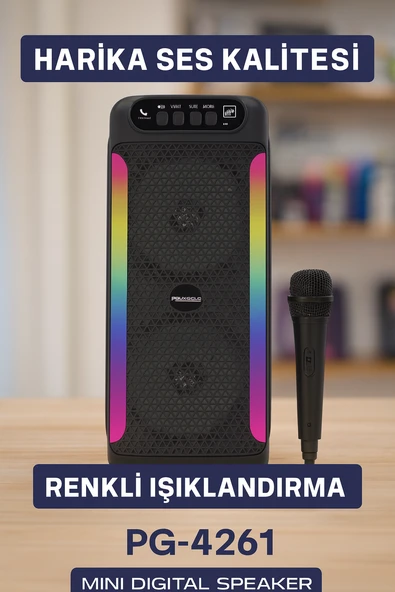 PG4261 HOPARLÖR - 2