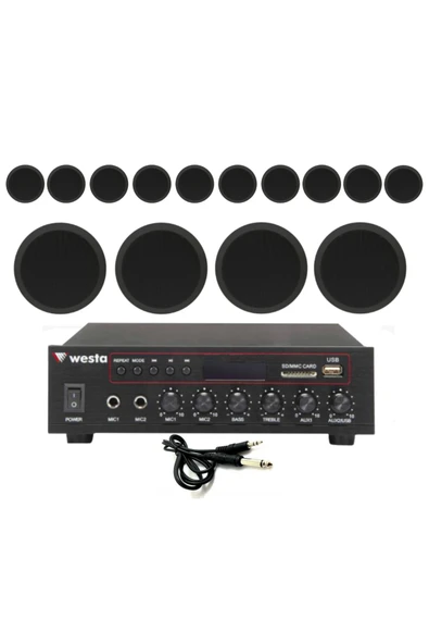 14’lü Siyah Tavan Hoparlorlu 100V Ses Sistemi | Kafe, Mağaza ve Ofis Müzik Sistemi ürün görseli