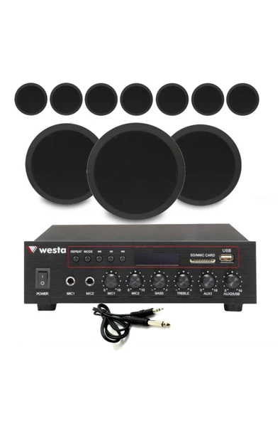 10’lu Siyah Tavan Hoparlorlu 100V Ses Sistemi Paketi | Kafe, Mağaza ve Ofis Müzik Sistemi ürün görseli